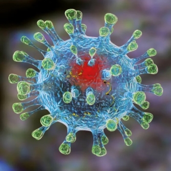 Новые открытия ученых помогут победить коронавирус